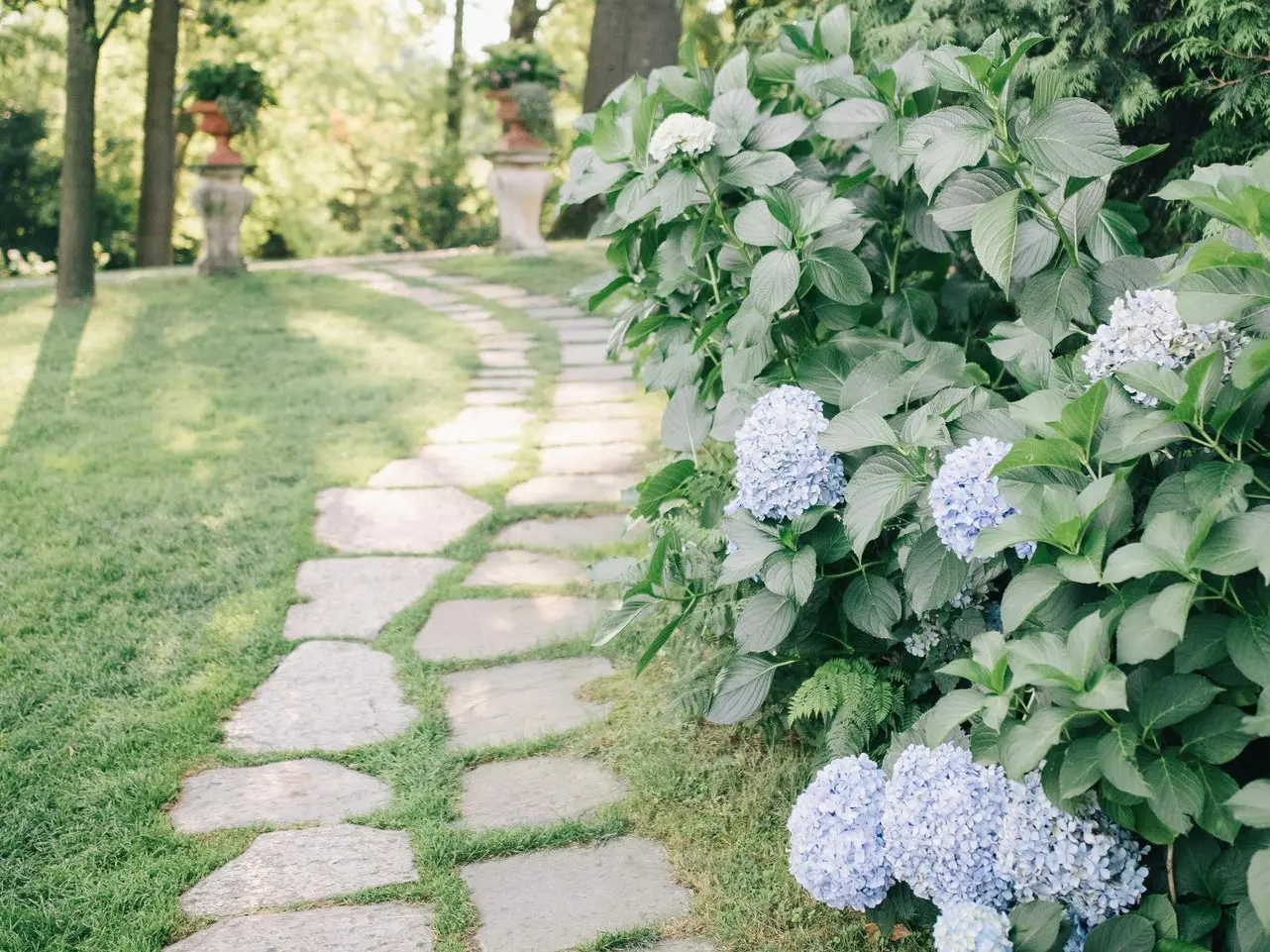 Camino de piedras en un jardín